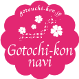 Gotochi-kon Navi